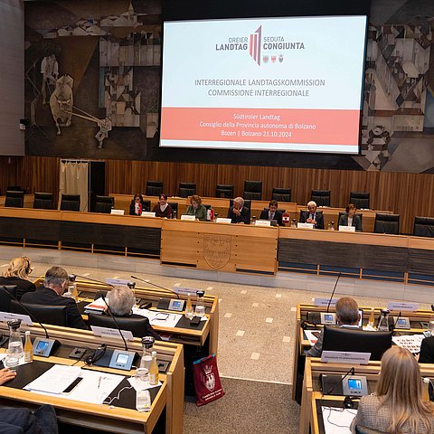 Die Mitglieder der Interregionalen Landtagskommission trafen sich heute im Südtiroler Landtag, um die nächste gemeinsame Sitzung der drei Landesparlamente vorzubereiten.