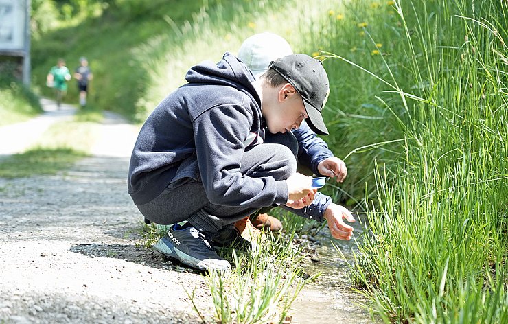 Junge erforscht Vegetation am Wegesrand