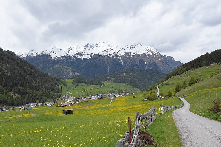 Wiesenlandschaft bei Nauders 