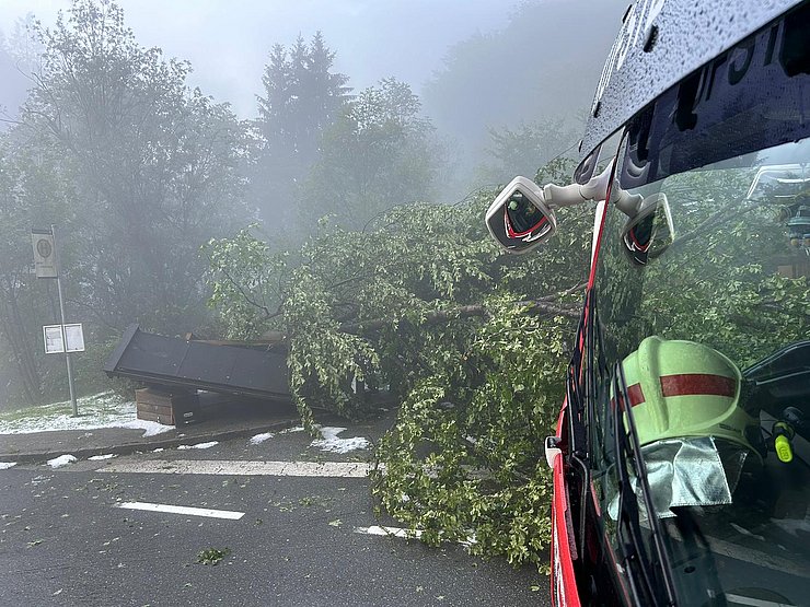umgefallener Baum auf Bushaltestelle; im Vordergrund Feuerwehrauto