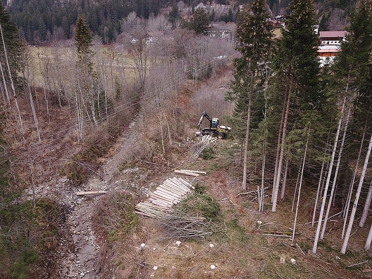 Rodungsarbeiten im Baufeld