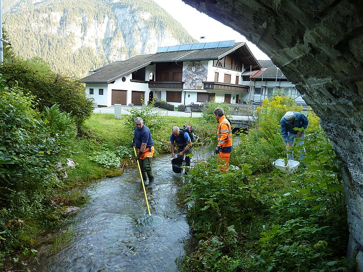 Der Schwellenbach wird im Bereich der Grabungsarbeiten mit einer Elektrobefischung leergefischt. Dabei werden die Fische mit einem leichten Stromschlag betäubt, danach abgefischt und an einer anderen Stelle wieder eingesetzt – August 2018.