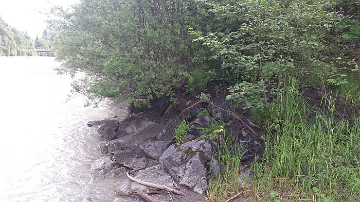 Die Längsverbauung wird auf eine Länge von 425m abgetragen ….