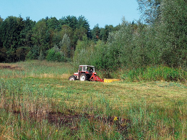 © Land Tirol/Revital Pflege einer Feuchtwiese