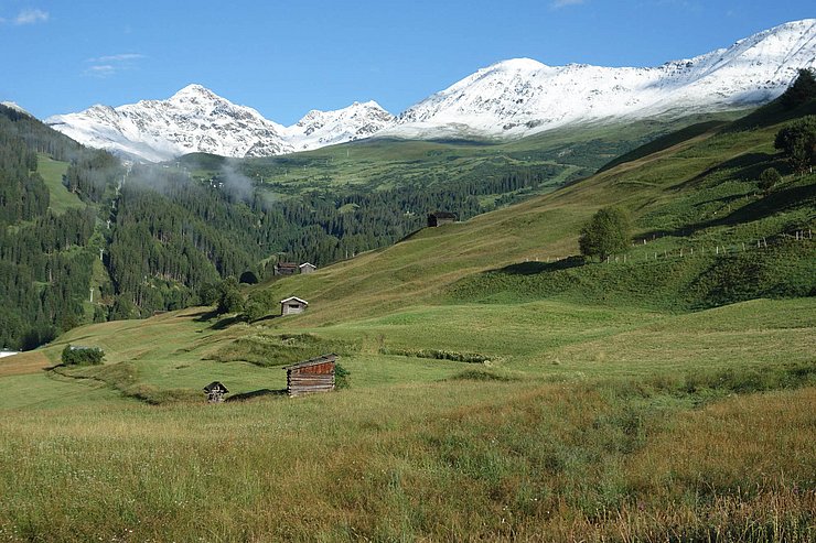 Extensive Wiesen bei Serfaus 