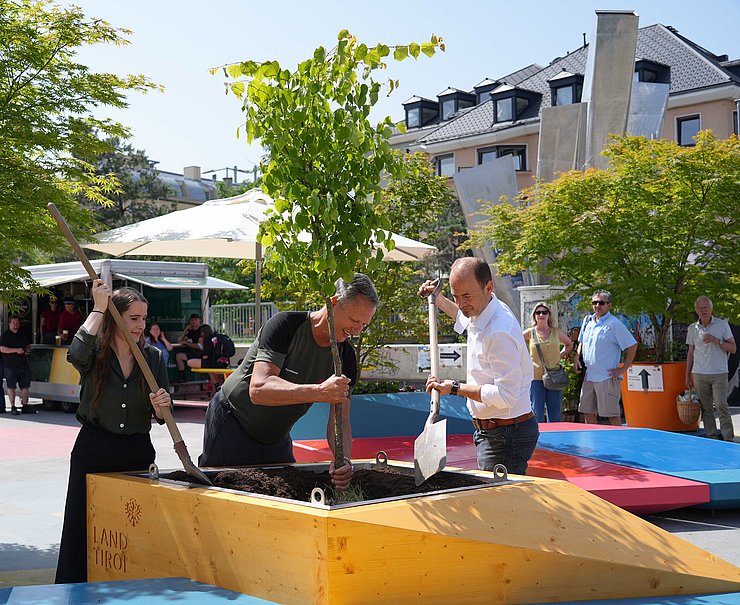 Personen pflanzen Baum in große Blumenkiste