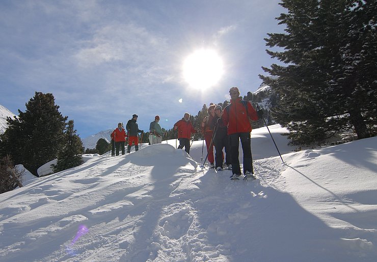 Gruppe von Wanderern im Schnee