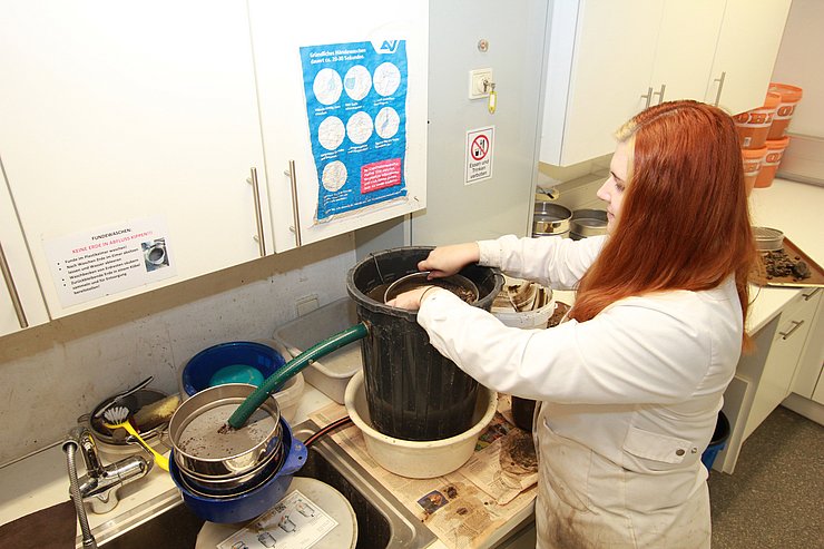 © Jörg Moser, Institut für Archäologien, Universität Innsbruck auf dem Bild ist die Arbeit im Labor zu sehen, wie Sedimentproben mit Wasser flotiert und geschlämmt werden