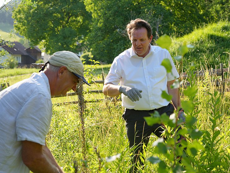 Zwei Männer in einer Wiese