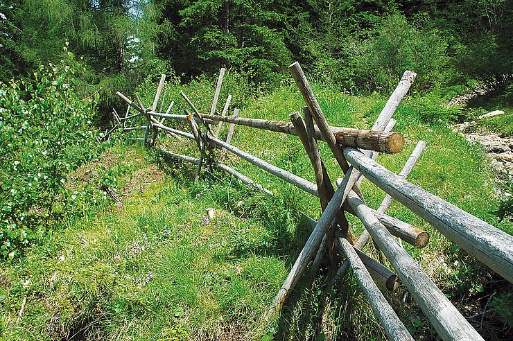 © Land Tirol/Revital Kreuzzaun