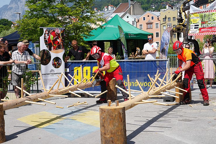 Zwei Personen in Schutzkleidung sägen mit Motorsäge Äste ab