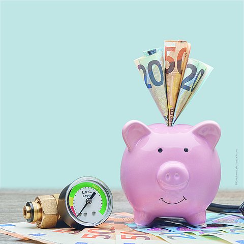 Rosa Sparschwein mit Geldscheinen