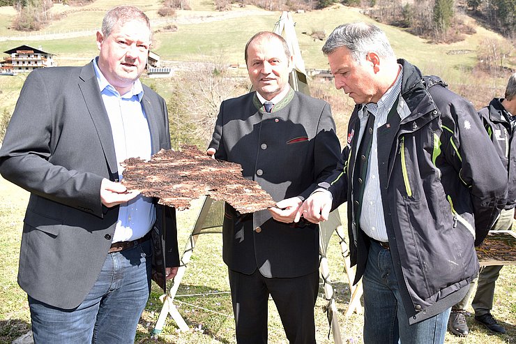 Gruppenfoto mit Baumrinde