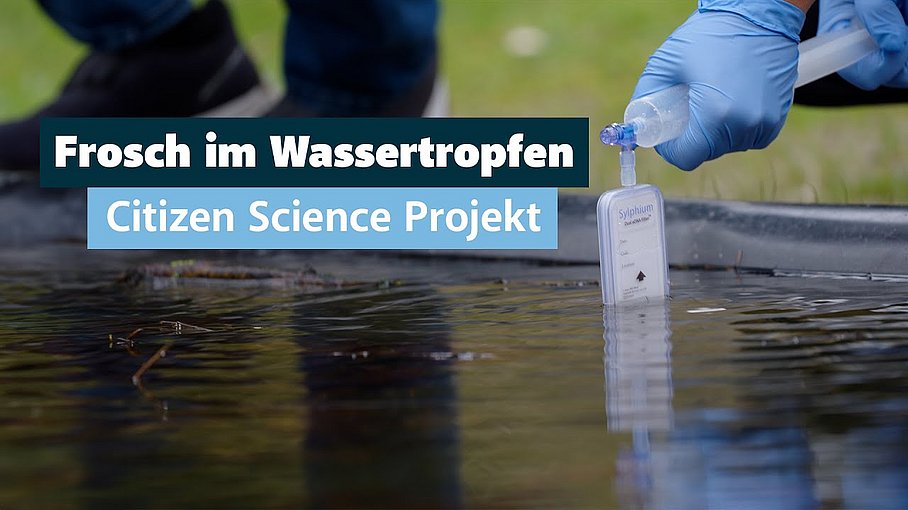 © Land Tirol/Järvinen Frosch im Wassertropfen