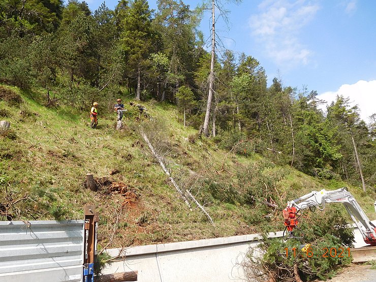 © Land Tirol/Hanny Rodungsarbeiten