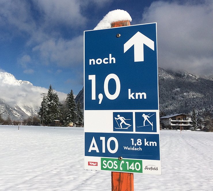 Leitsystem für eine leichte Loipe in einer verschneiten Landschaft