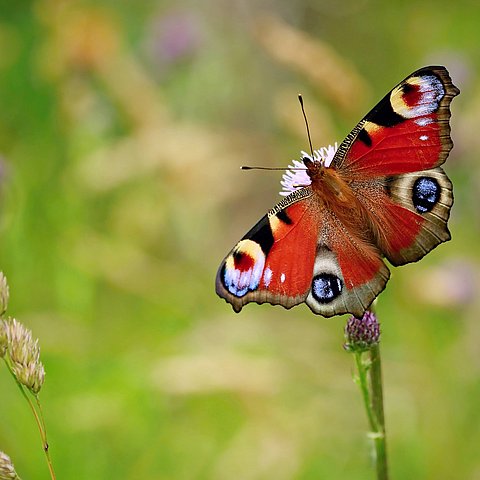 Umweltschutzbericht 2024